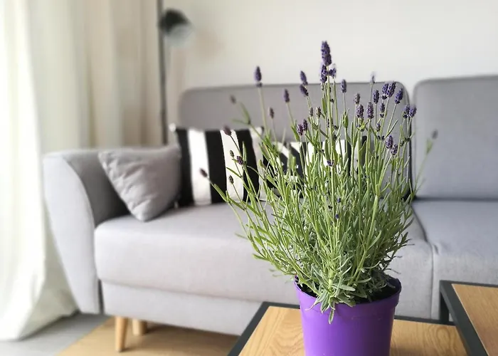 山林小屋 Biale Zagle